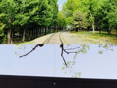 -将府公园