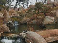 -罗红摄影艺术馆