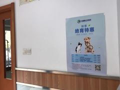 -宠福鑫动物医院(城北分院)