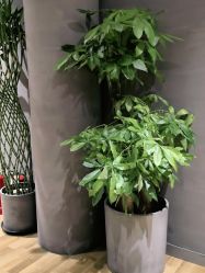 -卡莫瑜伽·普拉提