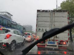 -上海中医药大学附属曙光医院(东部)