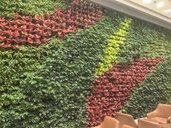 -星巴克(深圳海岸城4楼店)