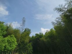 -莫奈庄园·儿童摄影馆·影视基地(江宁店)