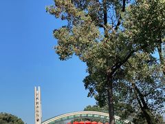 -南山植物园