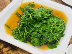 清炒草头-吾介小籠館