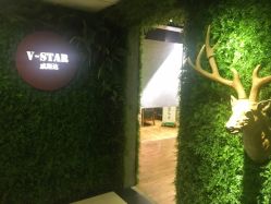 -V-STAR威斯达•高级私人定制