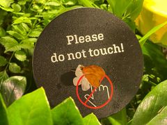 -美国自然历史博物馆