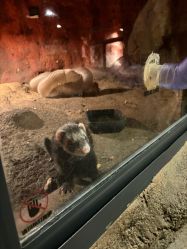 -酷嗒动物文化乐园(cutezoo西溪乐天城店)