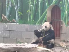 -南昌动物园