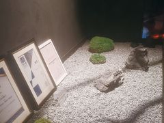 -双海潮·海鲜融合菜(如是海店)