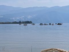 -西昌邛海湿地