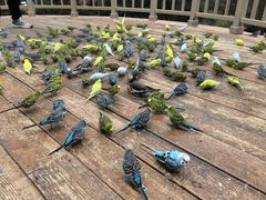 -南宫五洲植物乐园