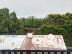 -大湾区中央湿地公园