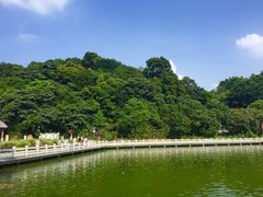 -广州市帽峰山景区