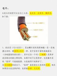 点击看大图 -碧莲盛·脱发养发中心
