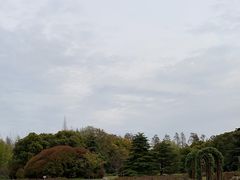 -上海滨江森林公园