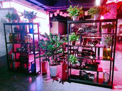 -撸小妖(六里桥总店)