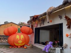 -HERRE·FARM 赫尔露营农场·团建聚会包场