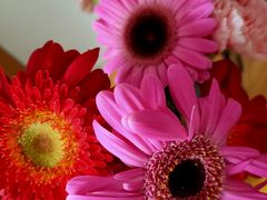 -盒马鲜生(首义店)