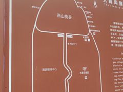 -大岭沟猕猴桃谷风景区