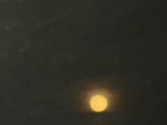 -厦门园林博览苑
