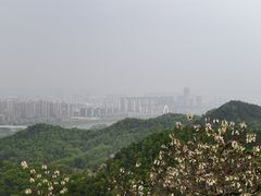 -云碧峰国家森林公园