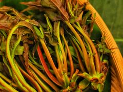 -抚仙湖万达文华酒店