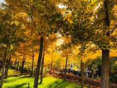 -国御温泉度假小镇