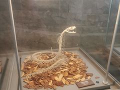 -自然博物馆新馆2楼餐厅