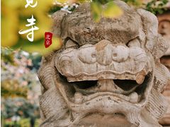 -北京石刻艺术博物馆(五塔寺)