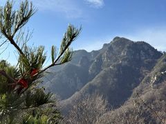 -王顺山国家森林公园