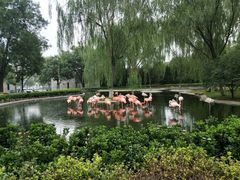 -石家庄市动物园