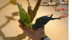 -酷嗒动物文化乐园(cutezoo西溪乐天城店)