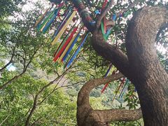 -宁波五龙潭景区