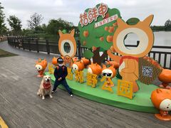 -上海长兴岛郊野公园