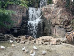 -燕塞湖鸟语林景区