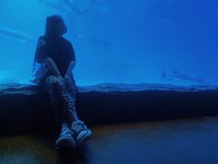 -泉城欧乐堡海洋极地世界