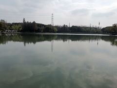 -新洲生态园