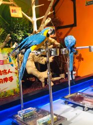 -未来动物城动物主题公园(大悦城店)