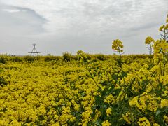 -三圣花乡旅游区