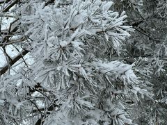 -秦岭终南山世界地质公园翠华山景区