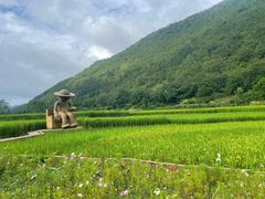 -万峰林风景区