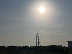 -7-ELEVEn(深圳宝安机场近14登机口)