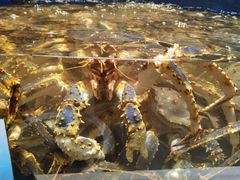 -海景壹号大酒店(滨湖店)