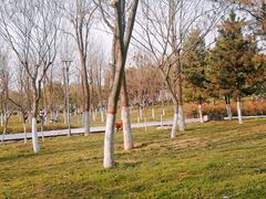 -洨河生态公园