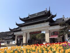 -苏州上方山国家森林公园