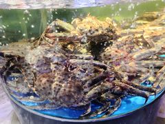 -蟹之国·精品蟹料理(极地店)