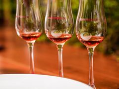 -圣丰索菲特·法国餐厅