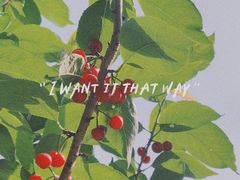 -樱桃山旅游景区