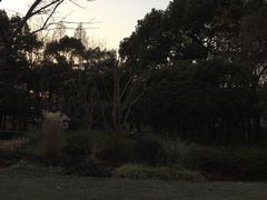 -徐家汇源景区-衡山公园